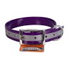 COLLIER BIOTHANE 25MM REFLECHISSANT