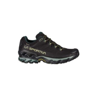 ULTRA RAPTOR II LEATHER GTX BLACK/CEDAR