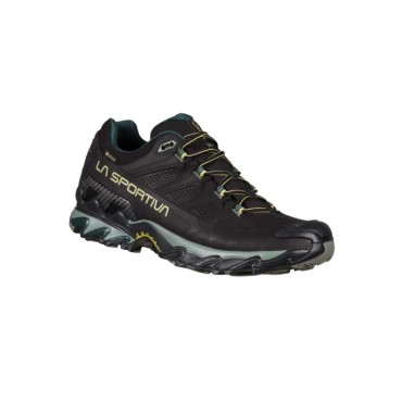 ULTRA RAPTOR II LEATHER GTX BLACK/CEDAR