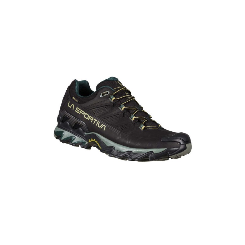 ULTRA RAPTOR II LEATHER GTX BLACK/CEDAR