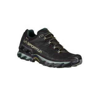 ULTRA RAPTOR II LEATHER GTX BLACK/CEDAR