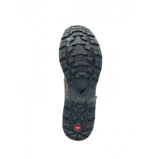 Chaussures Salomon Quest Tracker GTX Marron