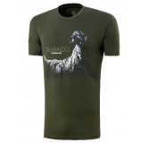 Tshirt Identity Setter Trabaldo
