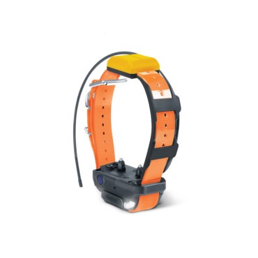 COLLIER SUPPLEMENTAIRE DOGTRA PATHFINDER 2