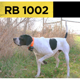 DOGTRA RB 1002