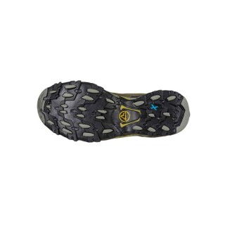 CHAUSSURE ULTRA RAPTOR II LEATHER GTX IVY/CEDAR