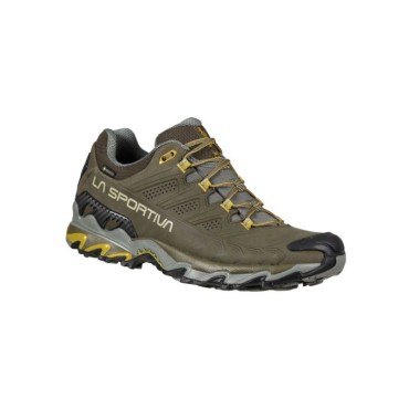 CHAUSSURE ULTRA RAPTOR II LEATHER GTX IVY/CEDAR
