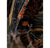 Chaussures de chasse Harkila Saxnas Orange