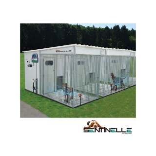 Sentinelles anti-aboiement à l'eau avec transformateur