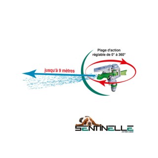 Sentinelles anti-aboiement à l'eau avec transformateur