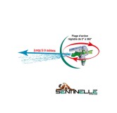 Sentinelles anti-aboiement à l'eau avec transformateur