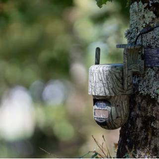 CAMERA REOLINK G770 AVEC PANNEAU SOLAIRE 