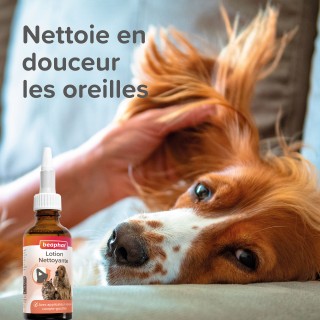 Beaphar Lotion nettoyante pour les oreilles pour chien et chat - 50 ml