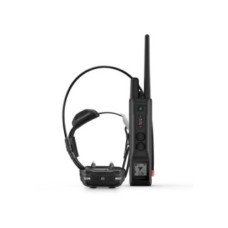 Pack dressage garmin pro 550 plus + TT15F mini