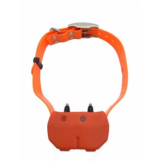 Collier GPS DOGZE 4G
