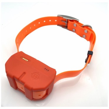 Collier GPS DOGZE 4G