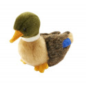 PELUCHE COLVERT