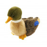 PELUCHE COLVERT